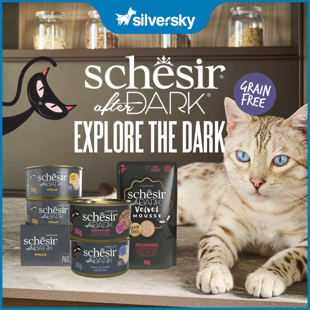 Schesir After Dark Complete and Balanced Wet Food for Adult Cats 80g - Real Meat Fillet, Pate, Mousse Wet Cat Food