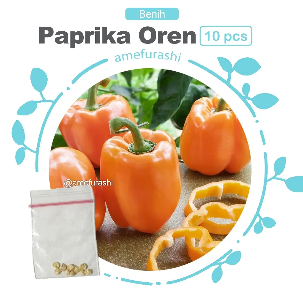 Paprika Oren 10 Biji