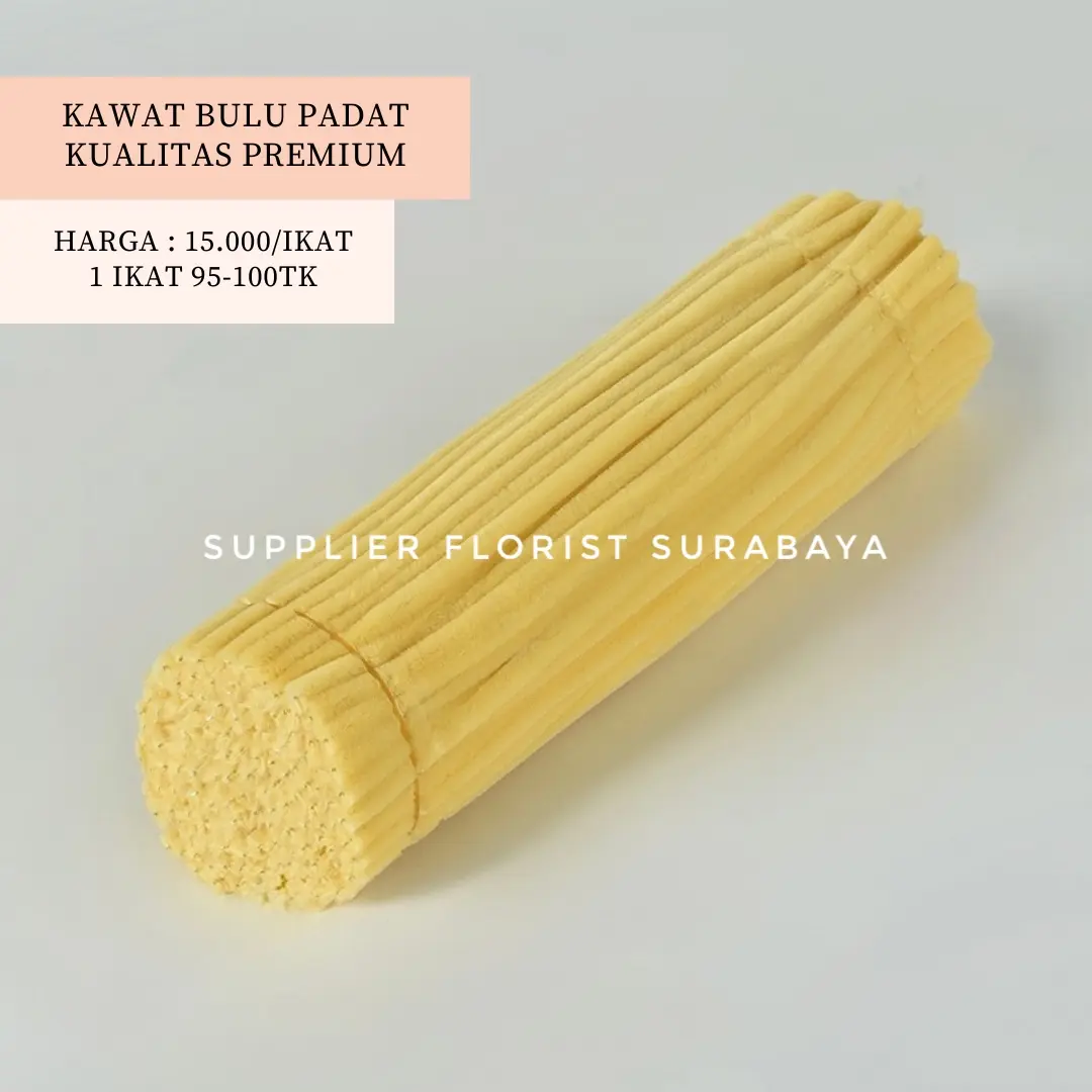 KUNING PASTEL (PADAT)
