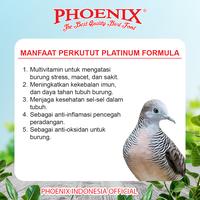 Gambar Pakan Perkutut Platinum Formula Phoenix BURUNG LOMBA MILLET KETAN HITAM JEWAWUT VITAMIN PROTEIN - perkutut dari Phoenix Petfood Indonesia Kab. Bogor 3 Tokopedia