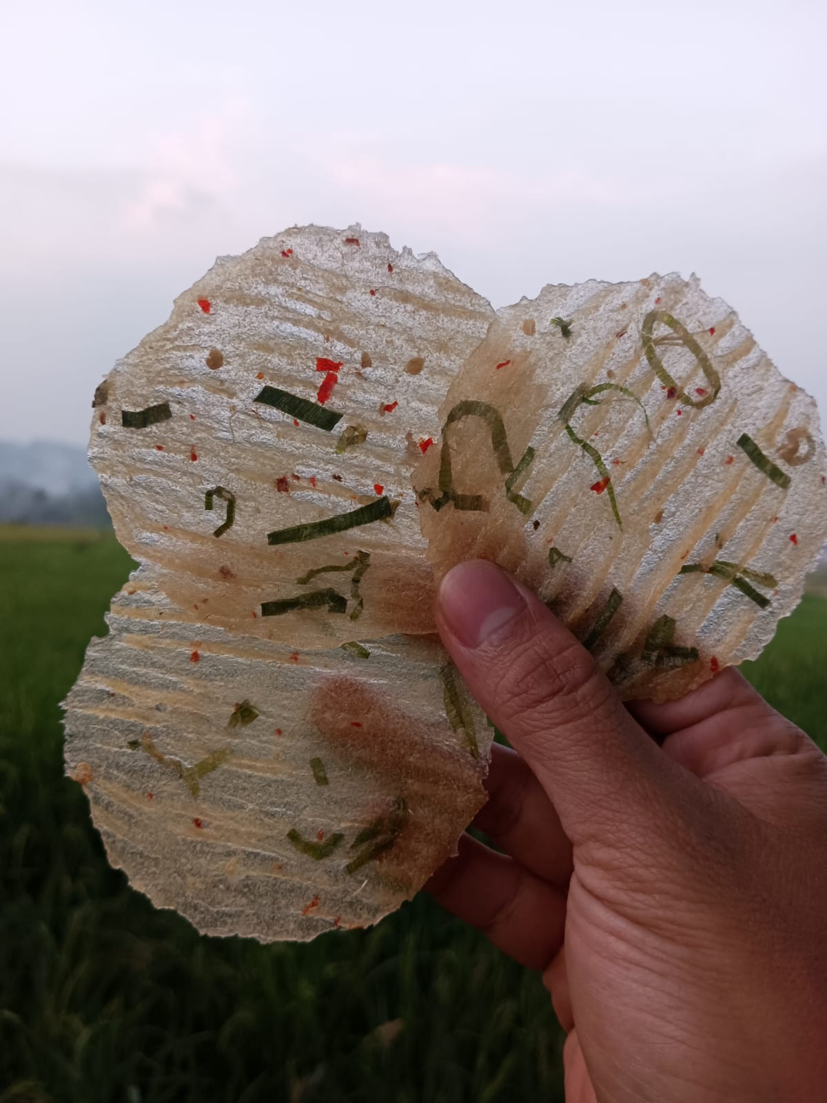 Kicimpring Singkong Mentah Bawang Cabai Gurih dan Renyah Camilan Kering Cemilan Kerupuk Snacks Makanan Keripik Pedas Food Kripik Opak Singkong Manis Asin enak