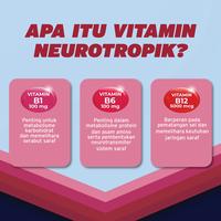 Gambar hemaviton Neuro Forte 2 box (1 box@10 Kapsul) [Exp : 08.2026] dari TempoStore Kota Administrasi Jakarta Timur 3 Tokopedia