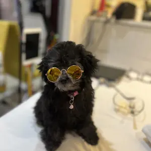 kalung kucing gangster Kacamata Hitam Kucing Anjing Lucu untuk Properti Foto Aksesoris Hewan Peliharaan