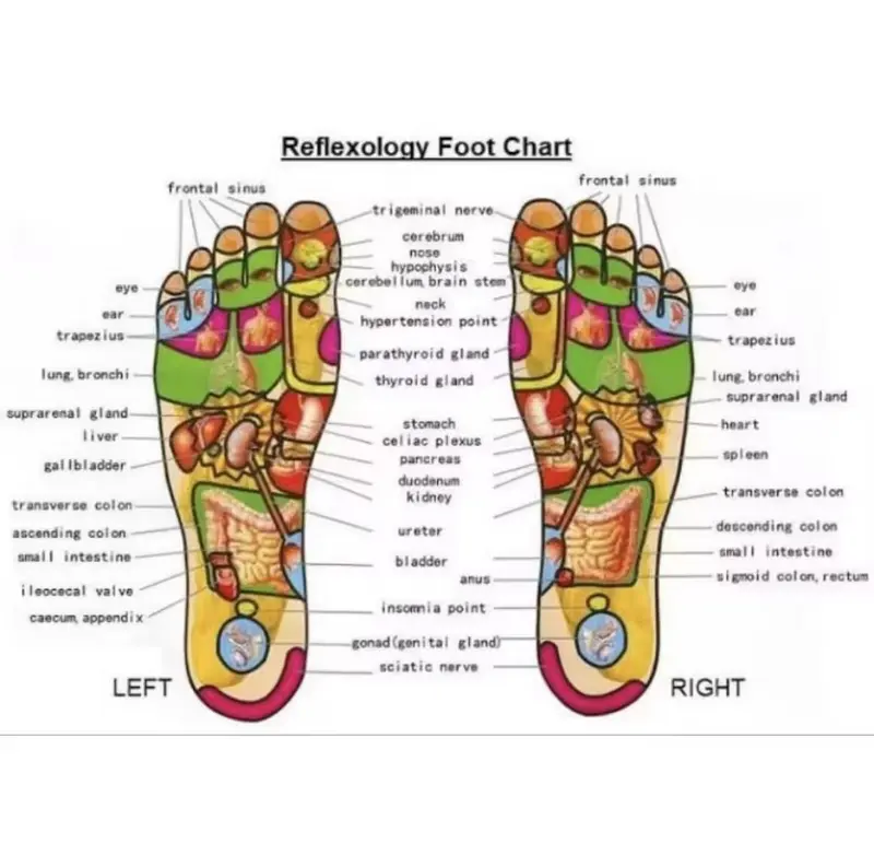 Sandal Kesehatan Terapi Sandal Refleksi Kesehatan Pijat Kaki Kesehatan Akupuntur Sandal Terapi Rematik Pria Wanita Pijit Therapy 4