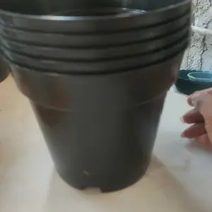 RAJA INDO Pot Tinggi Srondol 10 12 15 17 20 Pot Bunga Tinggi Pot Hias Aglonema