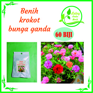 BENIH BIJI KROKOT BUNGA GANDA ISI 60 BIJI