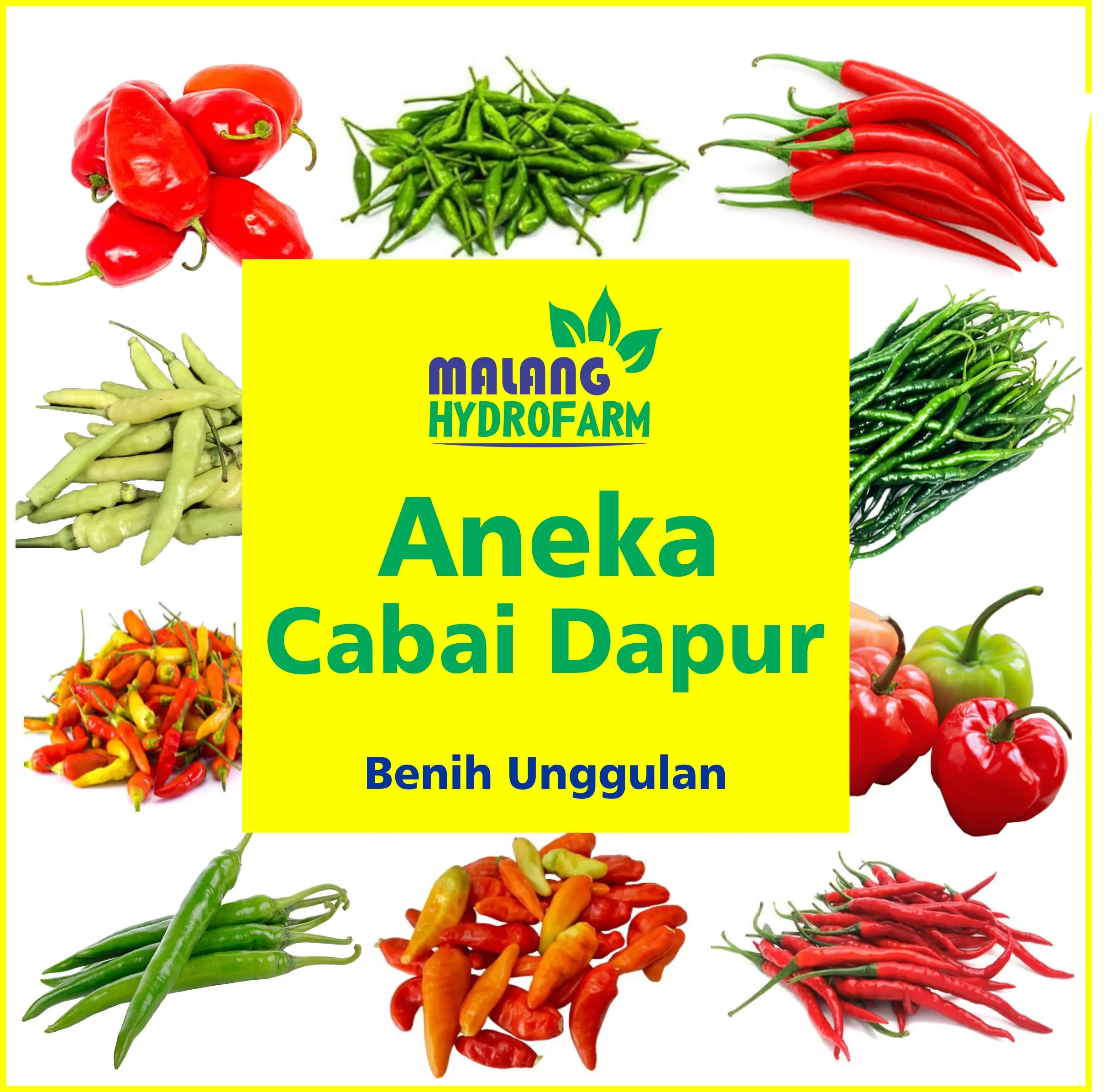 Benih Aneka Cabai Dapur Unggulan Berkualitas biji bibit repack paket cabe setan gendot rawit merah keriting tanaman sayuran hidroponik pot tanah rumah ladang