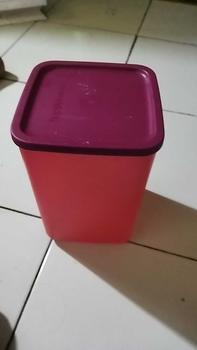 Product Review of Tutup Summer Fun  Square round baru kotak makan Tupperware from p**a 0