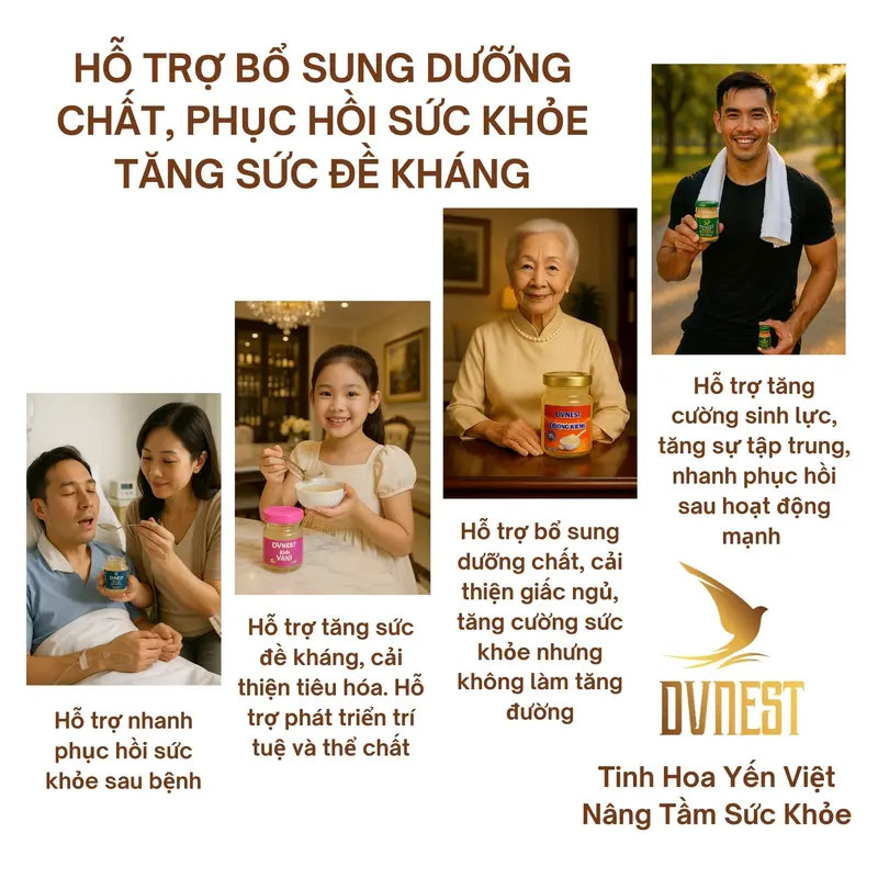 Tổ Yến Chưng Kids Vani 25% Yến Sào Thật {3 Hũ Dùng Thử x 70ml}, Có Thêm Tổ Yến Chưng Đông Trùng Hạ Thảo, Tổ Yến Chưng Đường Phèn, Tổ Yến Chưng Đường Kiêng, Yến Hũ Chưng Tiệt Trùng Mở Nắp Sử Dụng Ngay, Sản Phẩm Của Công Ty Yến Sào Đại Việt - DVNEST 3