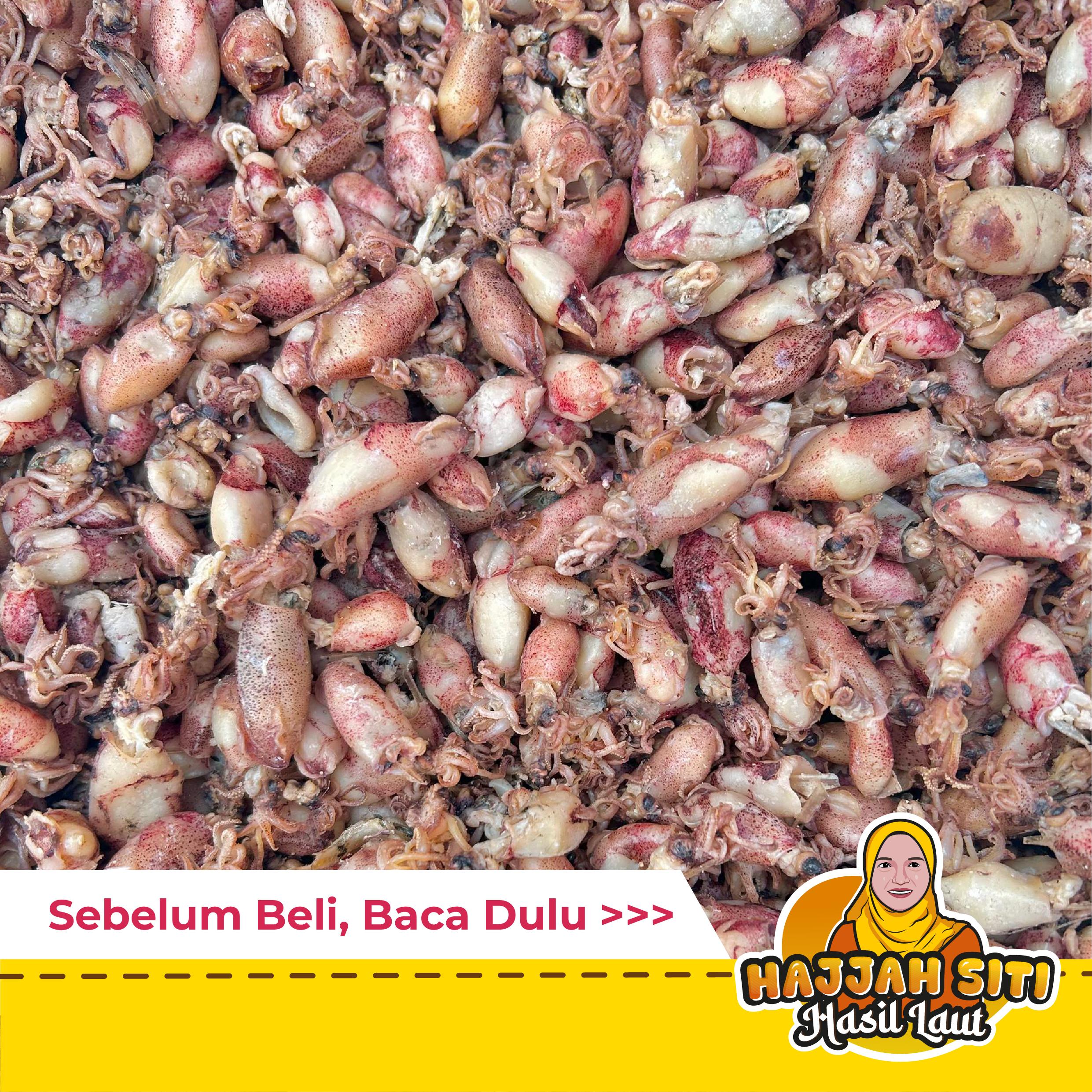 Sotong Bulat Lembut Kurang Masin | Cumi Kering | S (0-2CM) | M (2-4CM) | L (4-6CM) | XL (6-8CM) | Less Salty — Product image