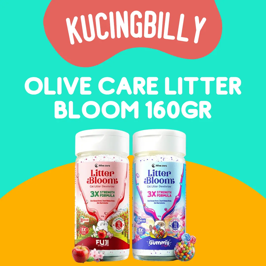 Litter Bloom Olive Care Bubuk Pengharum Efektif Cat litter deodorizer powder