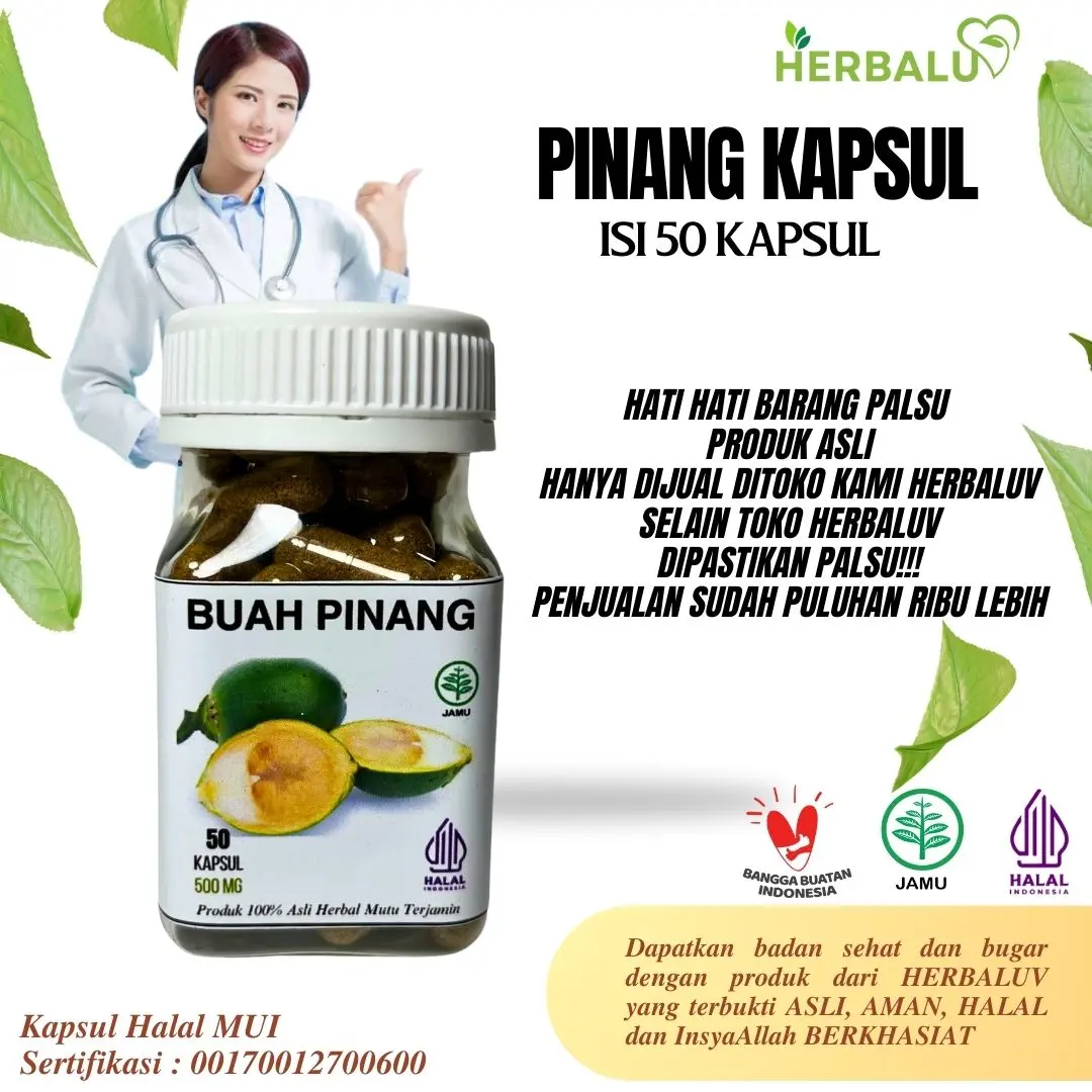 HERBALUV Kapsul Buah Pinang Original Herbal