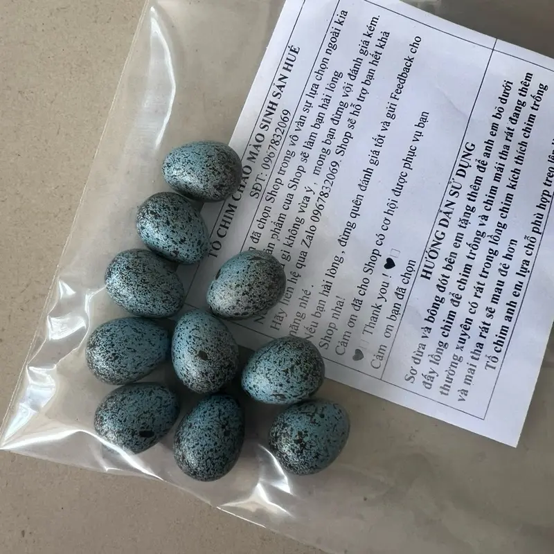 Trứng ziả ( choè lữa - choè than - chào  mào ) 1