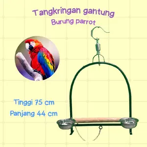 tangkringan burung parrot,falk,KK tua,nuri