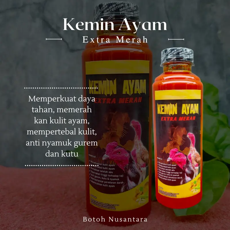 KEMIN BADAN BN  EXTRA MERAH - Agar Kulit Ayam Tebal dan Merah Merona - BN kaki 6