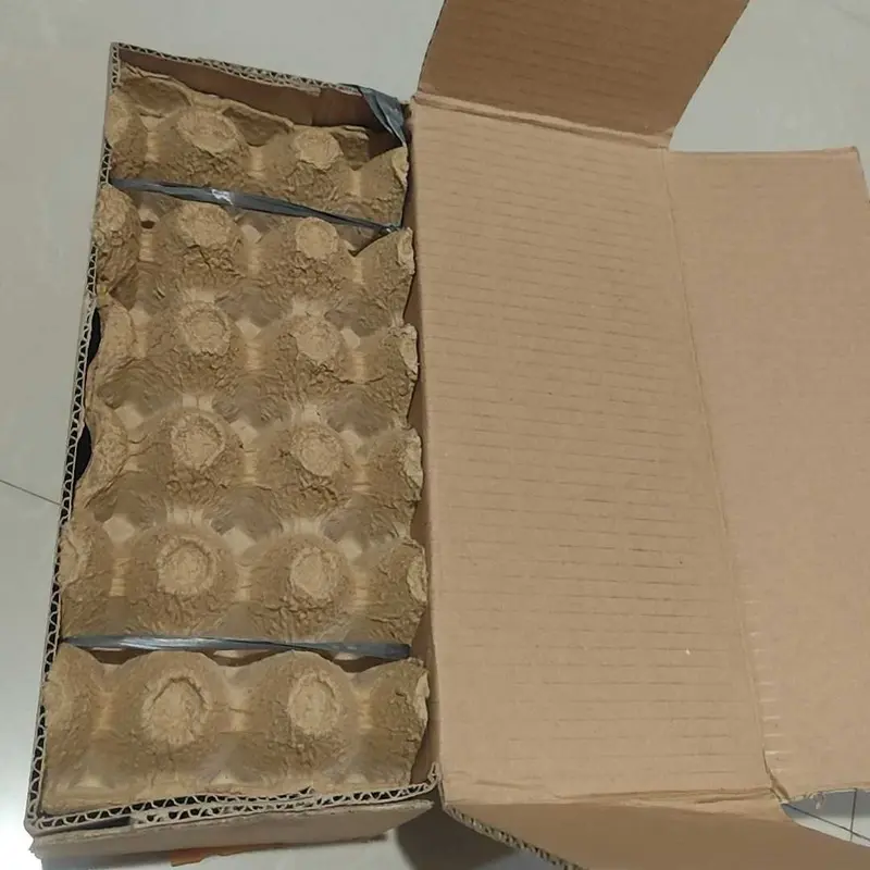 Telur Asin Fresh Premium Isi 10 Butir, Masir Gurih Pulen Telur Asin Bebek 3