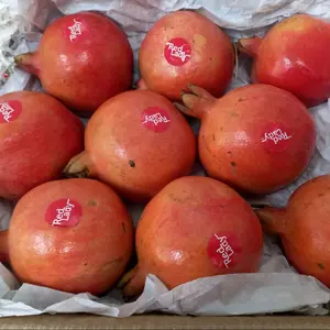 Buah Delima Segar 1 Buah - Kualitas Terbaik