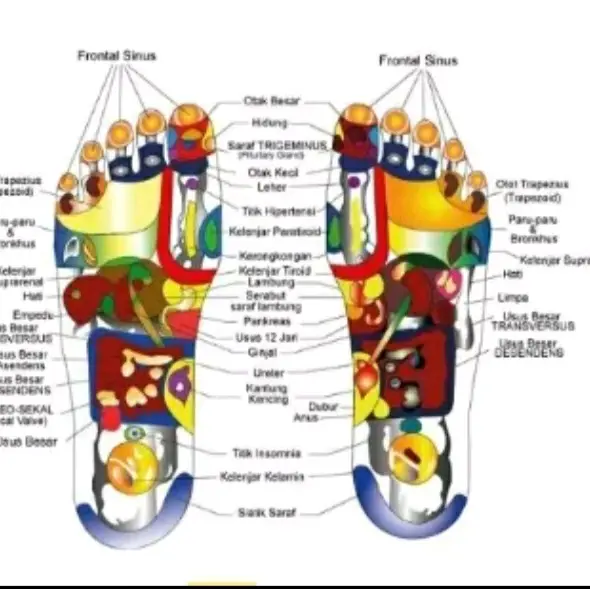 Sandal Terapi Akupuntur Refleksi Pijat Kaki Pria Wanita 4