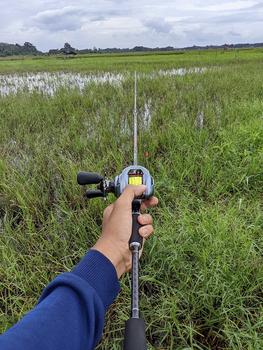 Product Review of Joran BC Shikari Black toman & Snakey 602 Carbon solid from ** F** I** 0