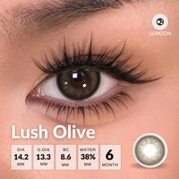 Gambar [Fuji Favorite] Lilmoon Softlens Lush Olive Warna Natural Desain Jepang Minus (0 sd -8.50) - -0.00 dari Lilmoon Official Kota Administrasi Jakarta Selatan 1 Tokopedia