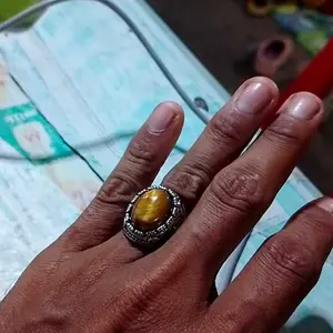 Cincin Keren Mata Harimau Coklat Original Buatan Pria Keren Cincin Perak Perak Elang Hitam Totem Batu Bunga Pesona Mode Pesona Mode Aksesoris Cincin Asli Pria