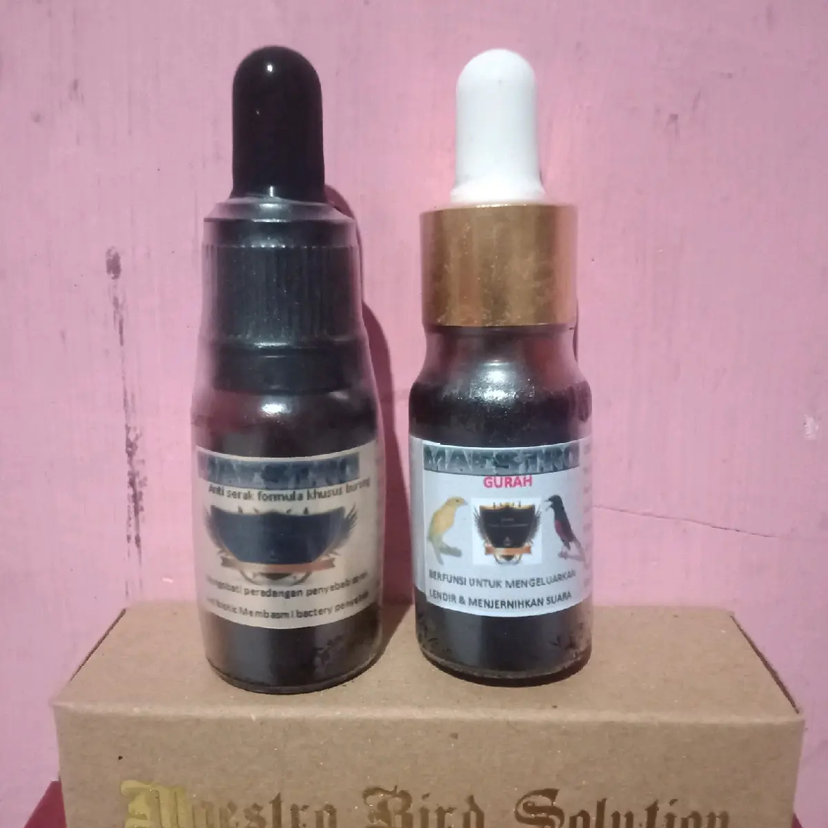 maestro paket sehat suara ( khusus burung serak parah )