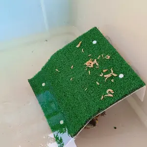 Basking Kura Kura Turtle Island Tempat Berjemur Kura Kura Premium Anti Slip S/M/L/XL