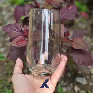Gelas Wine Tinggi 350ml | Steamless Flute Glass | Ikura Tumblers KIG | Gelas Highball | Slim Glass
