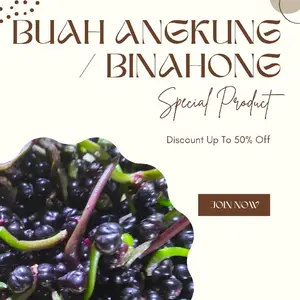 buah angkung segar berkualitas langsung petik