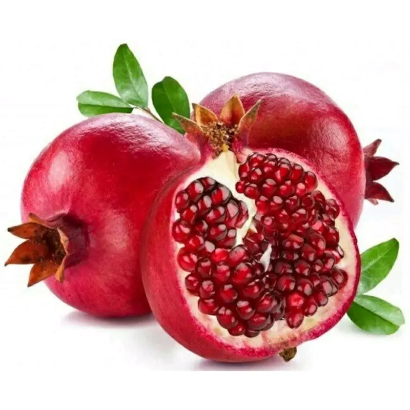 benih ( bbt delima merah ) 1