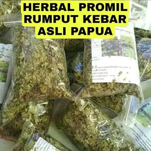 Daun Rumput Kebar Promil Asli Papua 50gr