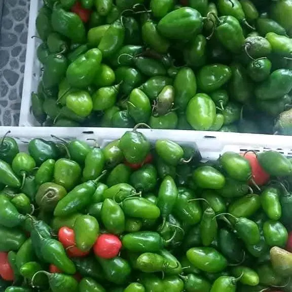 CABE GEMDOT - Sayuran Segar untuk Masakan Anda - Kecombrang, Potato 4