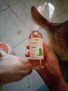 Product Review of Happy Tummy Dog ​​Treats  Probiotics-Rich Chews Appetite Booster Improve Intestinal Vitality Immunity & Energy Boost Beautify and Brighten Hair Help Repair Hair and Reduce Hair Loss from G**e 3