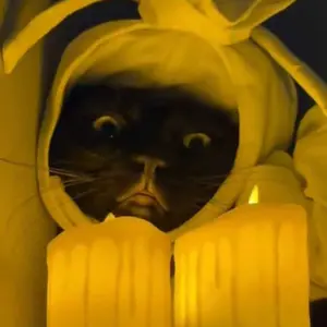 ( ROKCEL BANGKOK ) Rok Celana Pendek Wanita premium By.idmazaya Mini Shorts Santai Pant Pant Pant Nyaman