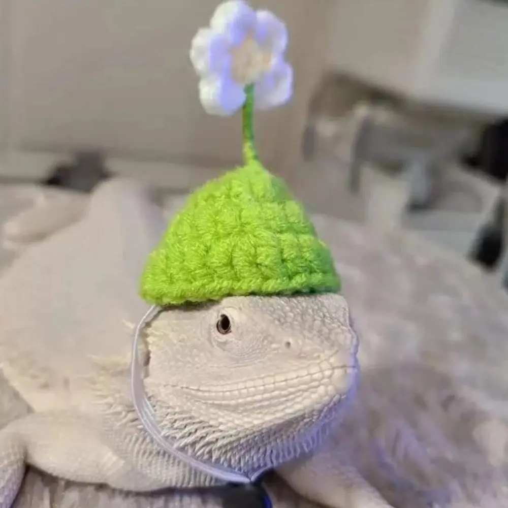 Portable Cartoon Hamster Hat Handmade Adjustable Pet Knitted Hat Soft Small Pet Caps For Parrot Guinea Pig Hamster