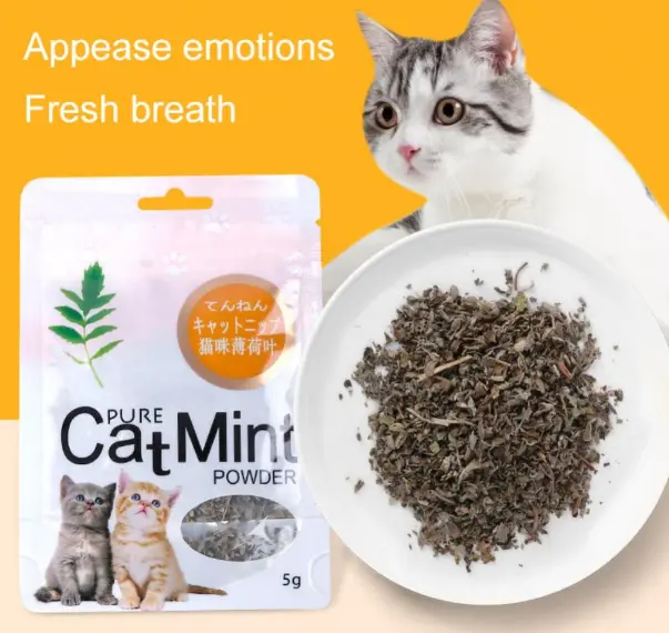 (Pack of 2) Natural Premium Catnip Grass - Mint Flavor 5g (BX3CN2093)