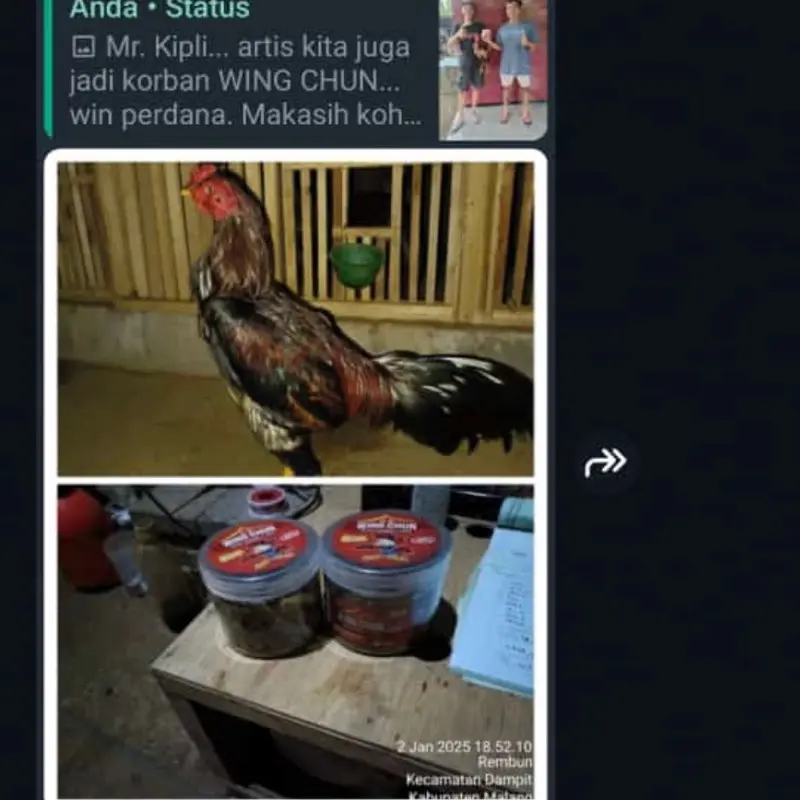 Wing Chun Extrafooding plus Jamu isi 100 1