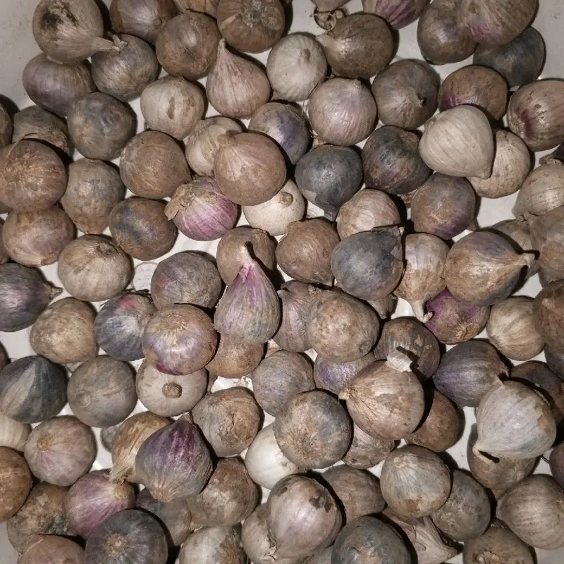 Ukuran Kecil/Bawang Putih Tunggal/Bawang Lanang, Impor China, Ukuran Kecil 2