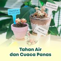 Gambar INFARM - Tag Nama Tanaman Label Tag Tanam Warna Warni untuk Tanaman Hias dan Media Tanam INFARM Plastik Tag Tanaman Plastik Anti Air Anti Hujan Tanda Nama Tanaman Mudah di Tandai Teg Tanda Nama Tanaman Buah Sayur Bunga warna Warni Bahan Plastik - Surabaya dari Infarm Kota Surabaya 4 Tokopedia