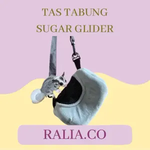 Tas Sugar Glider dengan Desain Unik dan Modis