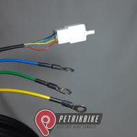 Gambar motor listrik brushless // QS motor Drum Brake 1000w dari Dyvolt Ev Shop_NEW Kota Bekasi 3 Tokopedia