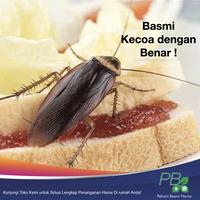 Gambar Pembasmi Kecoa dan Semut Tabur - Conant 1,75 GR - Anti Kecoa dan Semut - 20 Gr dari Paham Basmi Hama - Jakarta Kota Administrasi Jakarta Selatan 3 Tokopedia