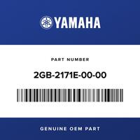 Gambar Electric Cover Side 5 OEM Yamaha WR250F YZ250FX Original Import dari Webike Indonesia Kota Administrasi Jakarta Selatan 1 Tokopedia