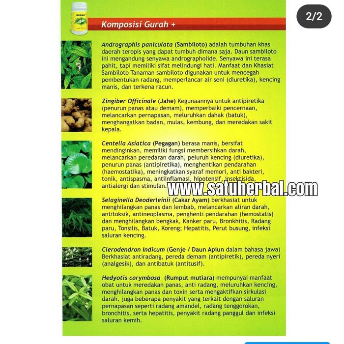 Gambar Gurah+ Herbal Saluran Pernafasan dari satuherbalstore Kota Surabaya Tokopedia
