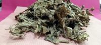 Gambar Bo He Ye - Daun Mint - 600gr dari TO Riang Ria Kota Administrasi Jakarta Utara 1 Tokopedia