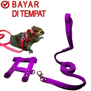 TALI SUGAR GLIDER TUPAI KADAL BAJING HARNESS TUNTUN