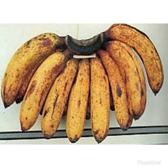Gambar buah pisang barangan dari GardenCempaka Kota Administrasi Jakarta Timur Tokopedia