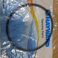 Gambar Oring Seal Tutup Pompa 3/4Hp Hayward | Pompa Kolam Renang dari IDEAL POOLS SHOP Kota Depok 3 Tokopedia