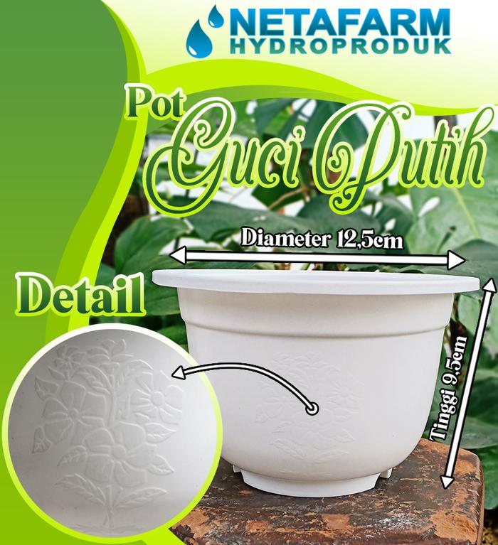 Gambar POT BUNGA / Tanaman Hias - POT Guci Putih D - 12,5 cm dari NETAFARM Kab. Sidoarjo Tokopedia