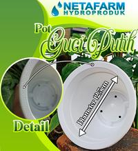 Gambar POT BUNGA / Tanaman Hias - POT Guci Putih D - 12,5 cm dari NETAFARM Kab. Sidoarjo 2 Tokopedia